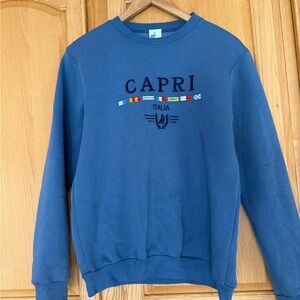 Blue Women's Crew Neck Sweater